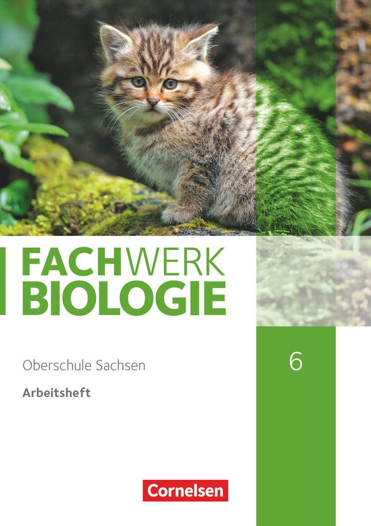 Cover: 9783060158942 | Fachwerk Biologie 6. Schuljahr - Sachsen - Arbeitsheft | Adria Wehser