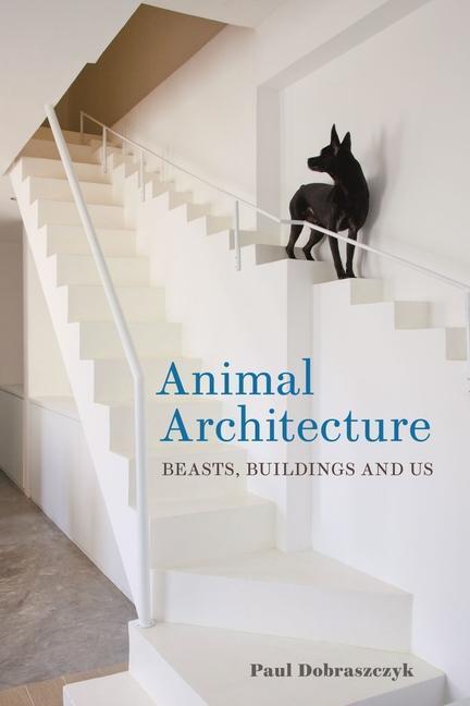 Cover: 9781789146929 | Animal Architecture | Beasts, Buildings and Us | Paul Dobraszczyk