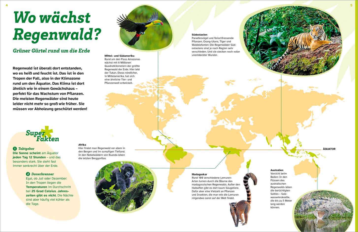 Bild: 9783788677169 | WAS IST WAS Regenwald. Wilde grüne Welt | Alexandra Werdes | Buch