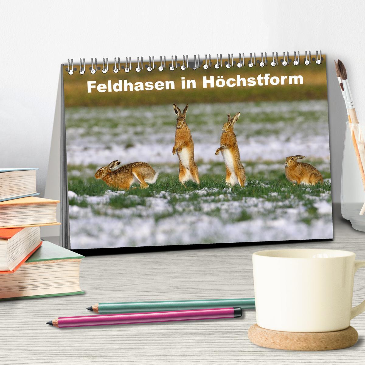 Bild: 9783383943133 | Feldhasen in Höchstform (Tischkalender 2025 DIN A5 quer), CALVENDO...