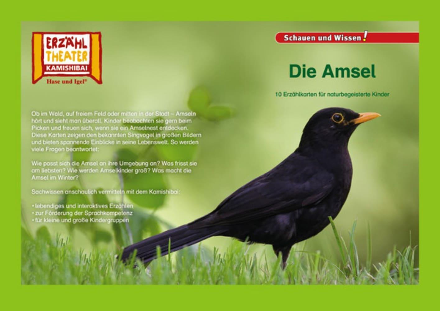 Cover: 4260505830731 | Kamishibai: Die Amsel | 10 Fotobildkarten für das Erzähltheater | Box