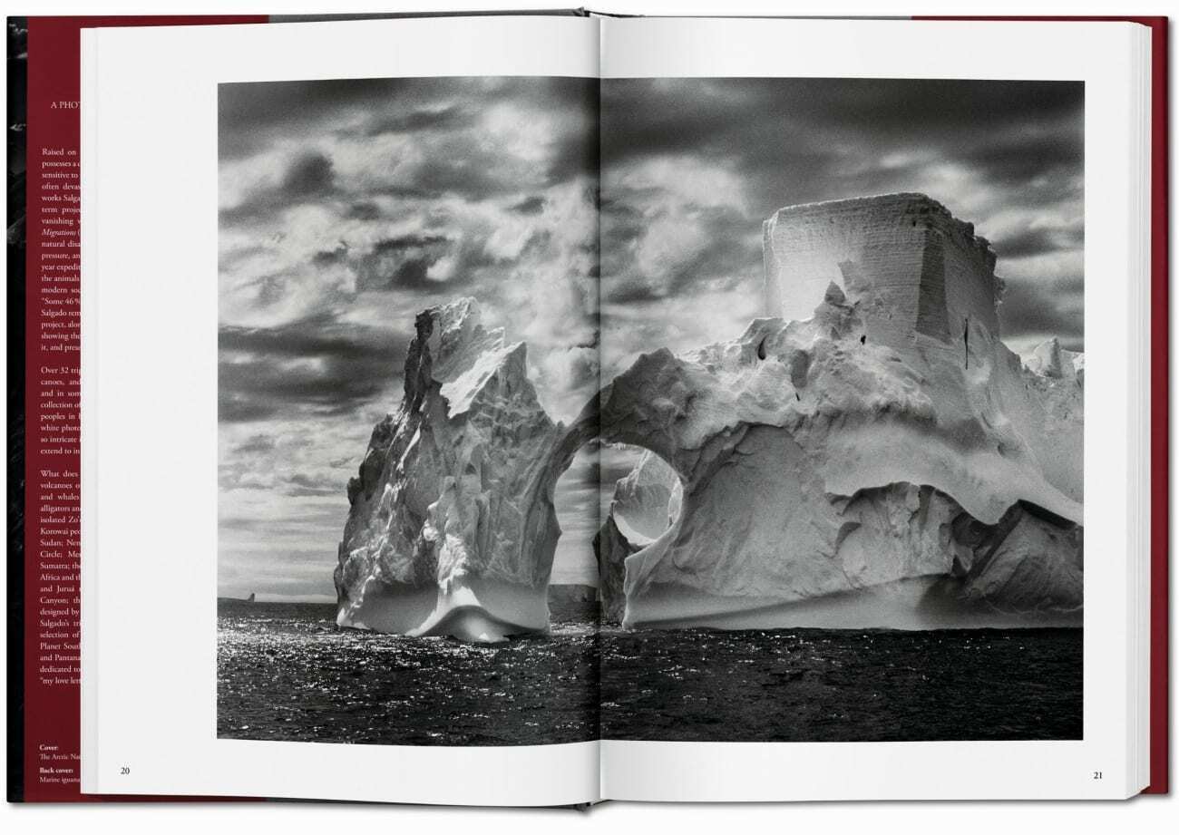 Bild: 9783836542616 | Sebastião Salgado. Genesis | Lélia Wanick Salgado | Buch | 520 S.