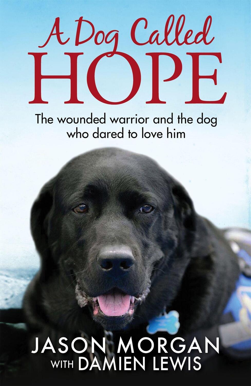 Cover: 9781784297169 | A Dog Called Hope | Damien Lewis | Taschenbuch | Englisch | 2017