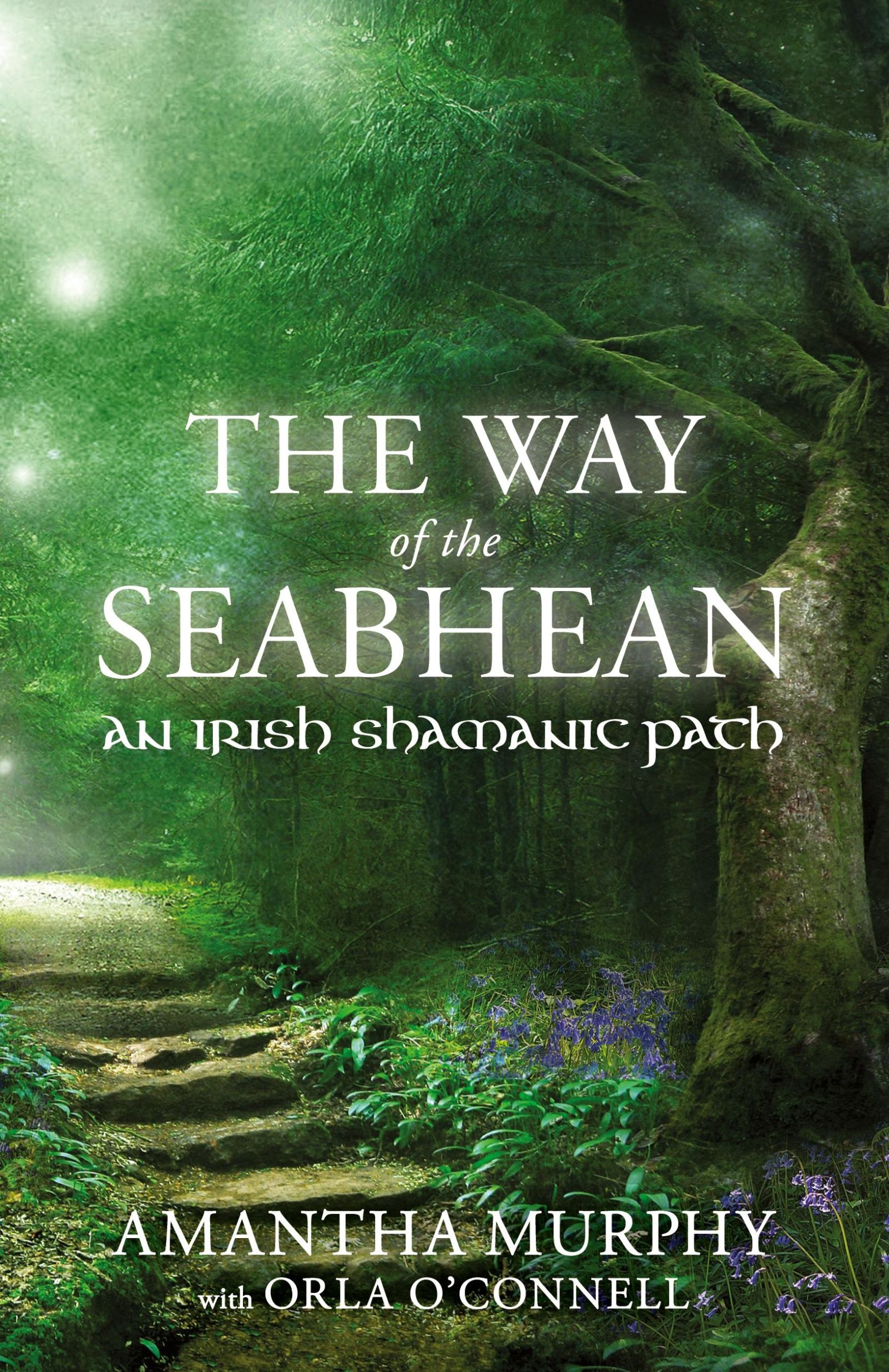 Cover: 9781910559635 | The Way of the Seabhean | An Irish Shamanic Path | Amantha Murphy