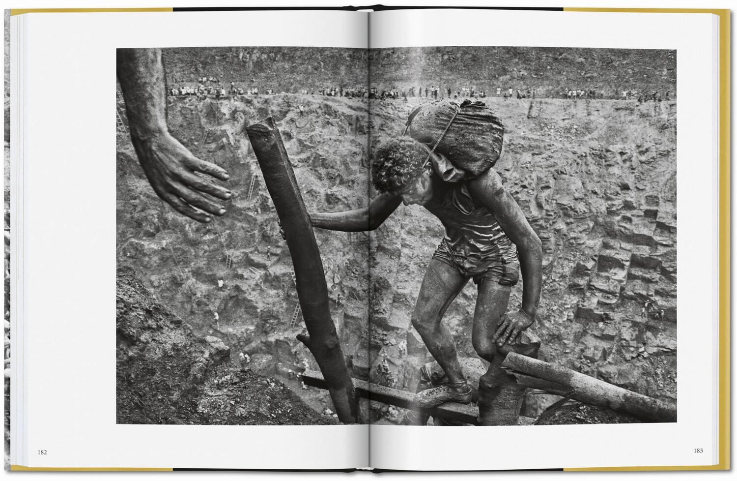 Bild: 9783836575089 | Sebastião Salgado. Gold | Alan Riding | Buch | GER, Hardcover | 208 S.