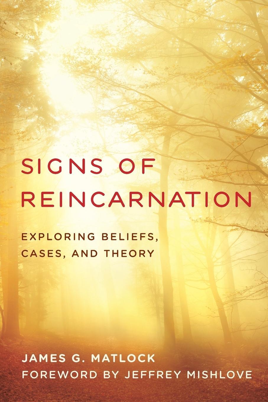 Cover: 9781538124796 | Signs of Reincarnation | Exploring Beliefs, Cases, and Theory | Buch