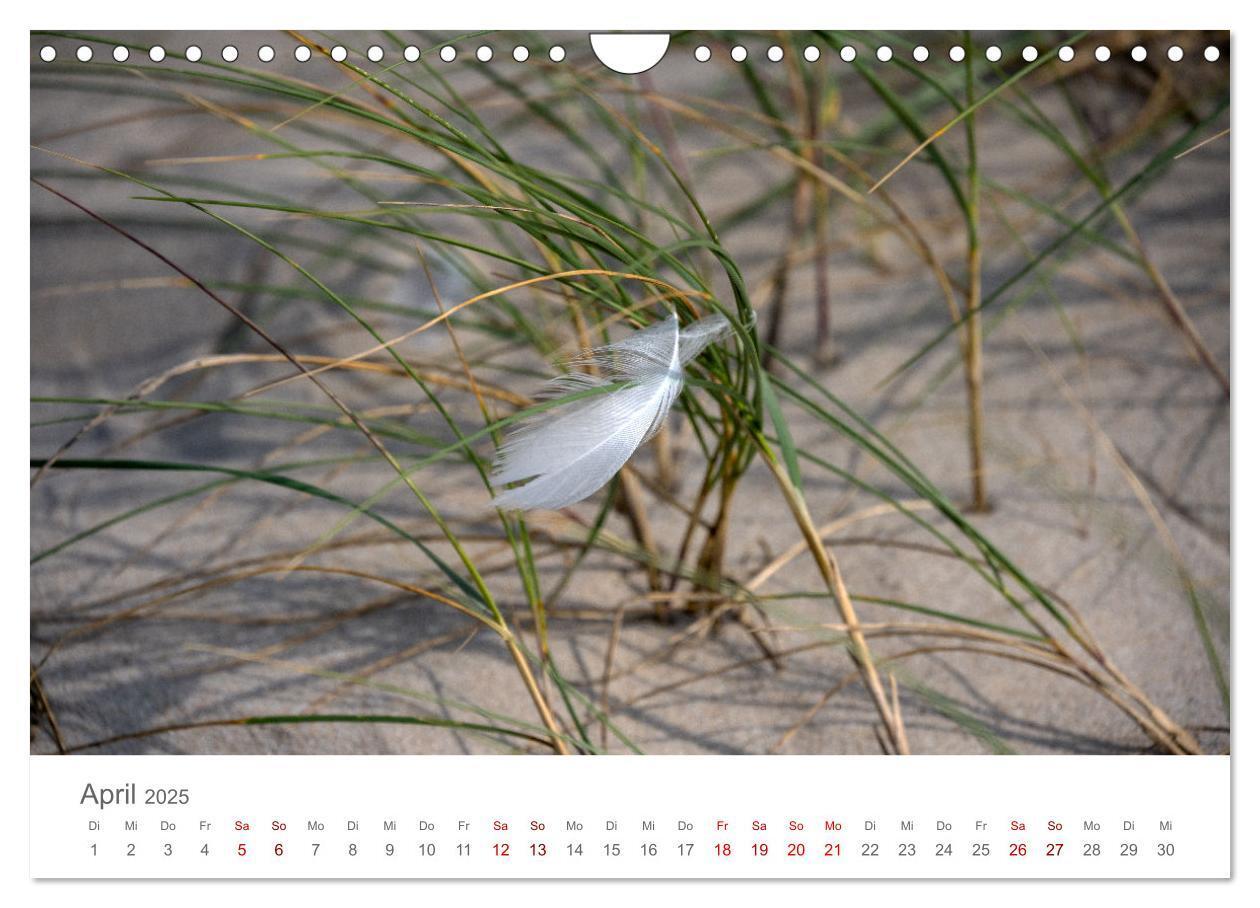 Bild: 9783435022588 | Dänemark - Henne Strand (Wandkalender 2025 DIN A4 quer), CALVENDO...