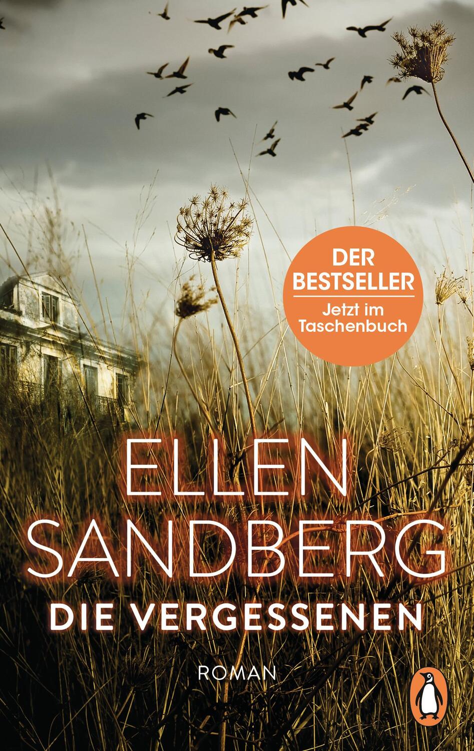Cover: 9783328103882 | Die Vergessenen | Roman | Ellen Sandberg | Taschenbuch | Deutsch