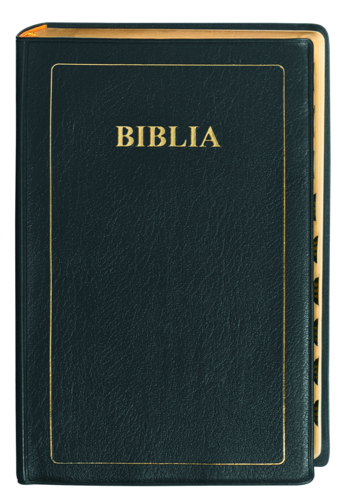 Cover: 9783438081797 | Bibel Suaheli - Bible in Kiswahili, Übersetzung: Union...