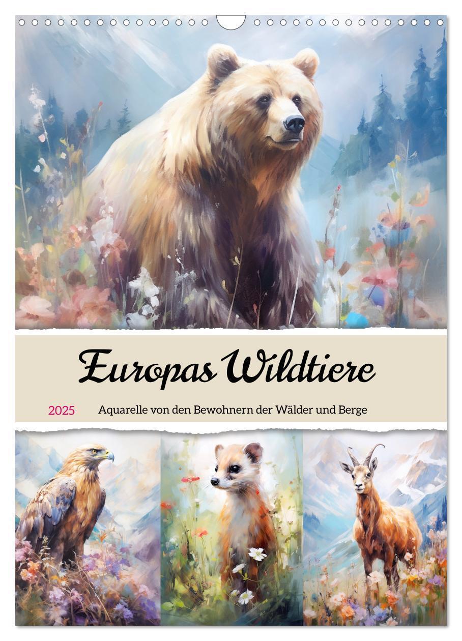 Cover: 9783435866984 | Europas Wildtiere. Aquarelle von den Bewohnern der Wälder und Berge...