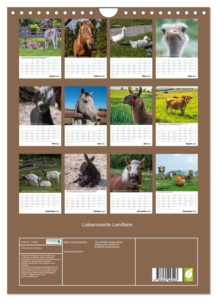 Bild: 9783435943203 | Liebenswerte Landtiere (Wandkalender 2025 DIN A4 hoch), CALVENDO...