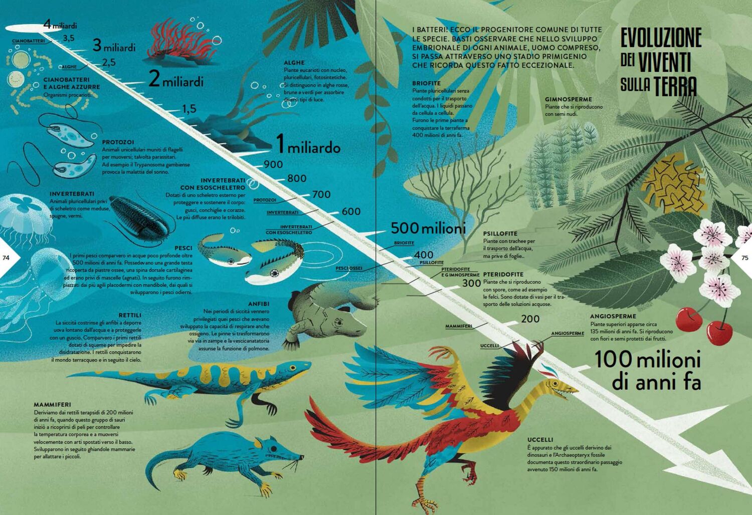 Bild: 9783038762560 | Atlas der Wissenschaften | Das große Buch der Naturwissenschaften