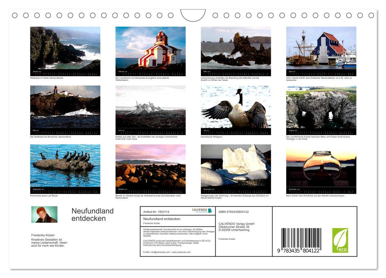 Bild: 9783435804122 | Neufundland entdecken (Wandkalender 2025 DIN A4 quer), CALVENDO...