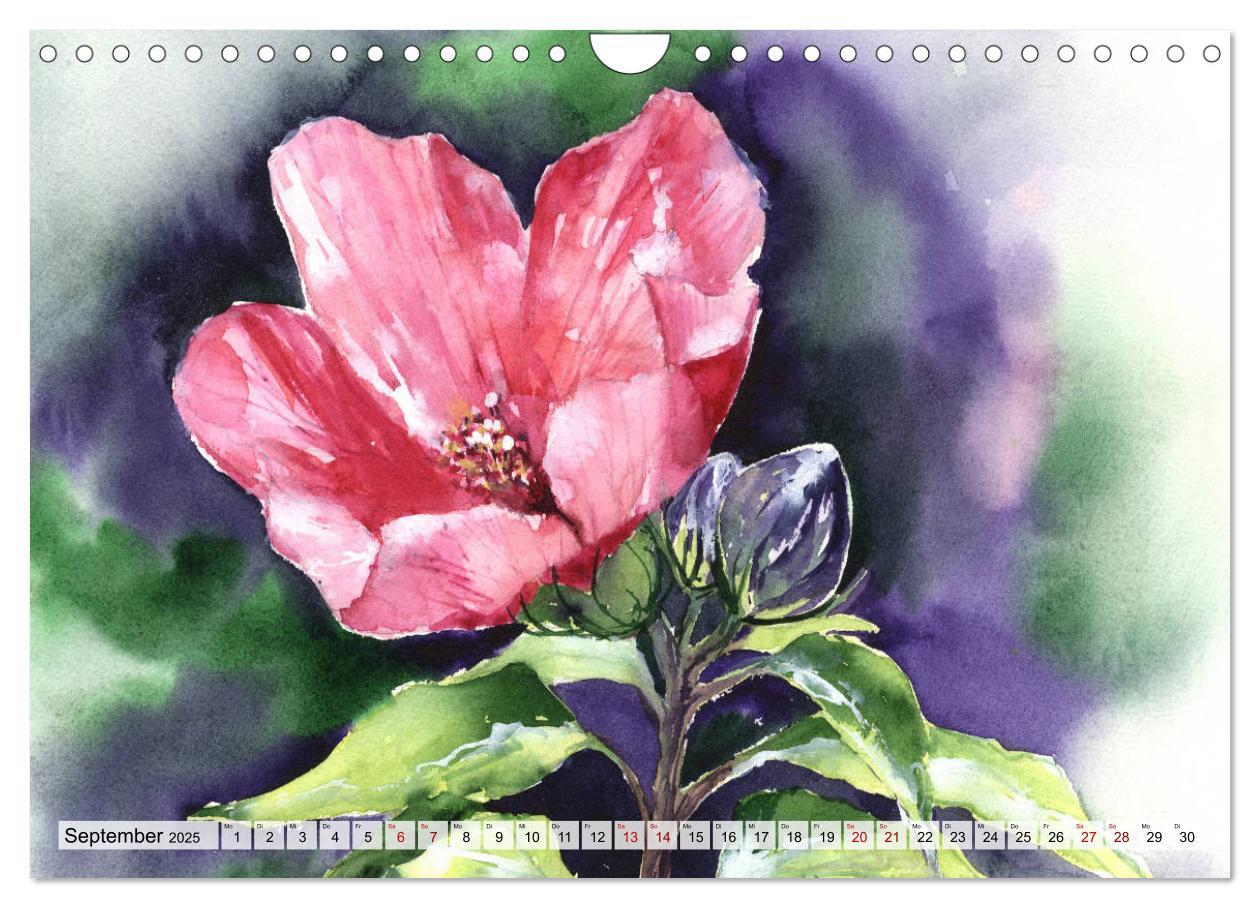 Bild: 9783435273423 | Blumenaquarelle aus der Nähe (Wandkalender 2025 DIN A4 quer),...