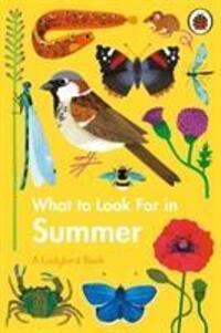 Cover: 9780241416204 | What to Look For in Summer | Elizabeth Jenner | Buch | A Ladybird Book