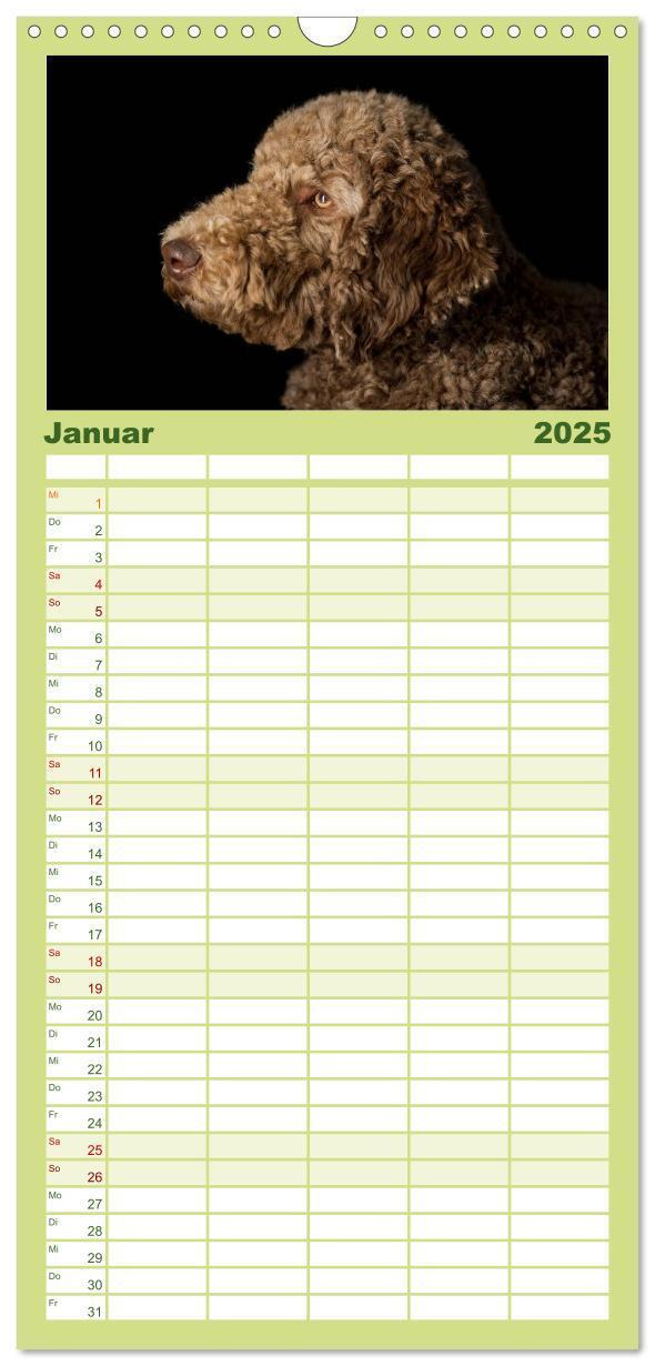 Bild: 9783457125427 | Familienplaner 2025 - Pudel mit 5 Spalten (Wandkalender, 21 x 45...