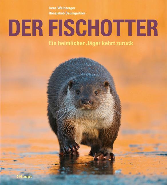 Cover: 9783258080840 | Der Fischotter | Ein heimlicher Jäger kehrt zurück | Buch | gebunden