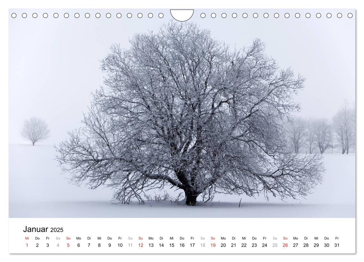 Bild: 9783435473588 | Die Rhön (Wandkalender 2025 DIN A4 quer), CALVENDO Monatskalender