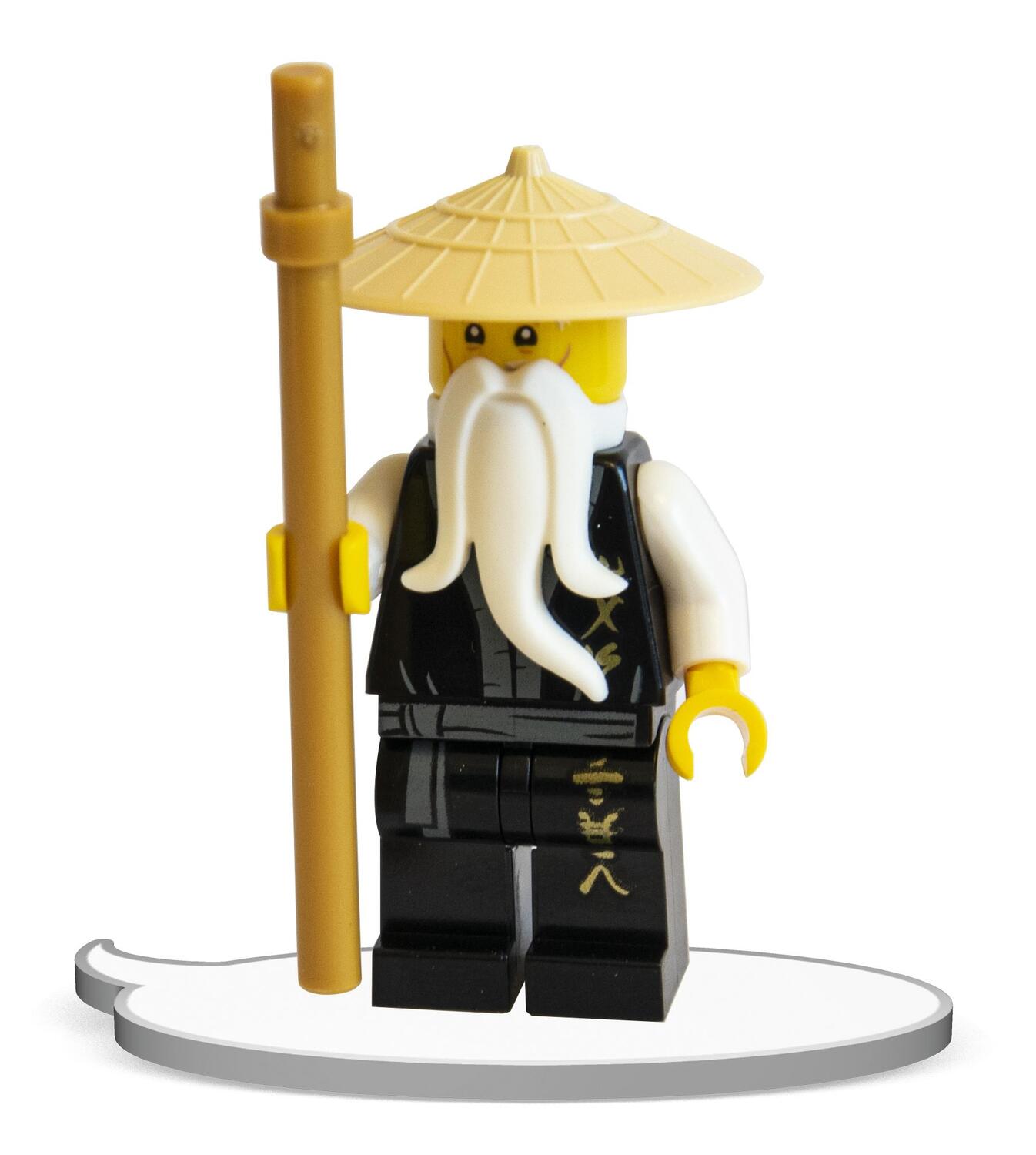 Bild: 9783960805939 | LEGO® NINJAGO® - Abenteuer auf der Destiny's Bounty | Taschenbuch