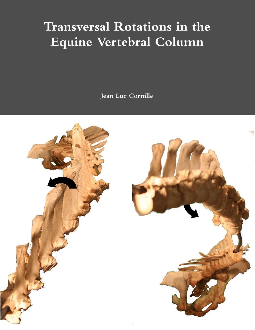 Cover: 9781257856503 | Transversal Rotations in the Equine Vertebral Column | Cornille | Buch