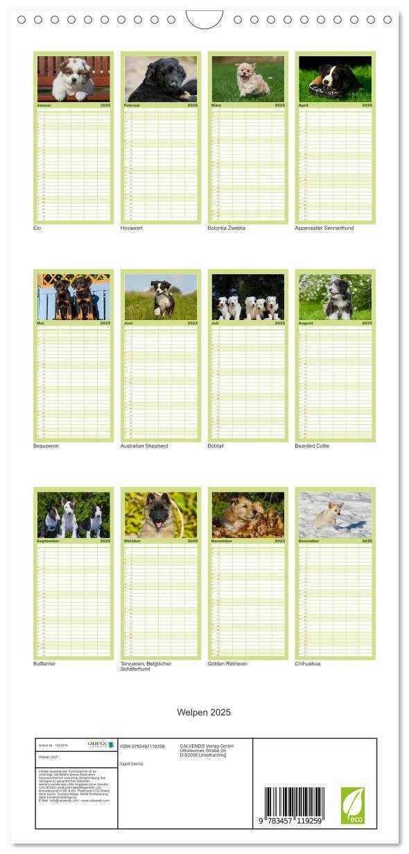 Bild: 9783457119259 | Familienplaner 2025 - Welpen 2025 mit 5 Spalten (Wandkalender, 21 x...