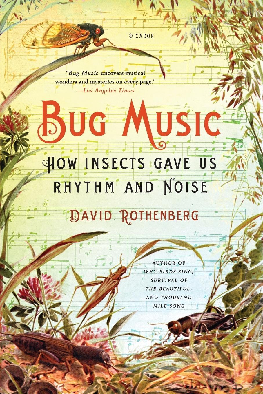 Cover: 9781250045058 | BUG MUSIC | David Rothenberg | Taschenbuch | Paperback | Englisch