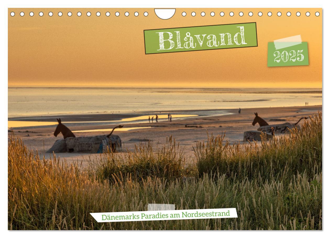 Cover: 9783383938917 | Blåvand - Dänemarks Paradies am Nordseestrand (Wandkalender 2025...