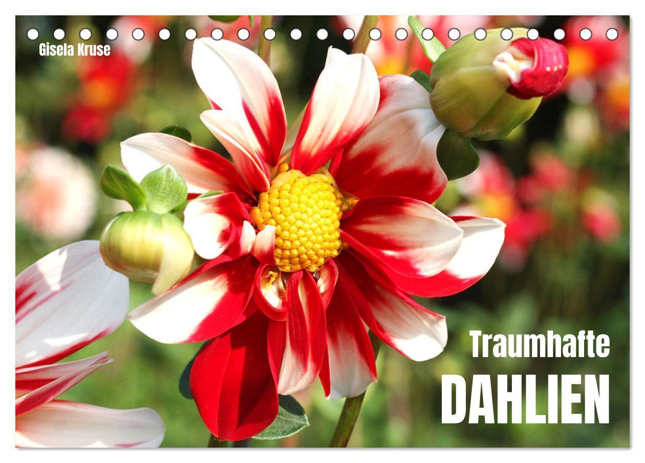 Cover: 9783435009510 | Traumhafte Dahlien (Tischkalender 2025 DIN A5 quer), CALVENDO...