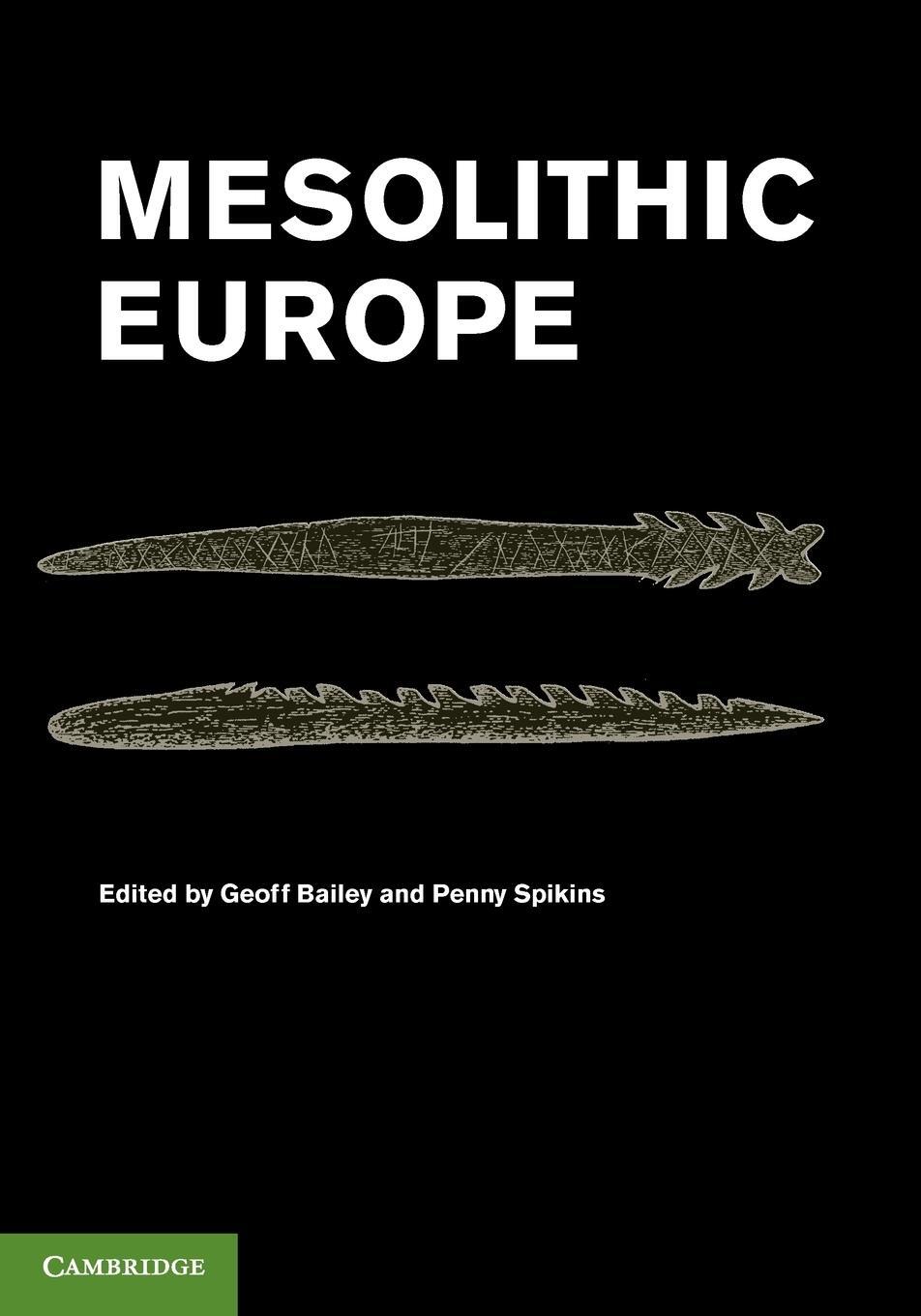 Cover: 9780521147972 | Mesolithic Europe | Cambridge University Press | EAN 9780521147972