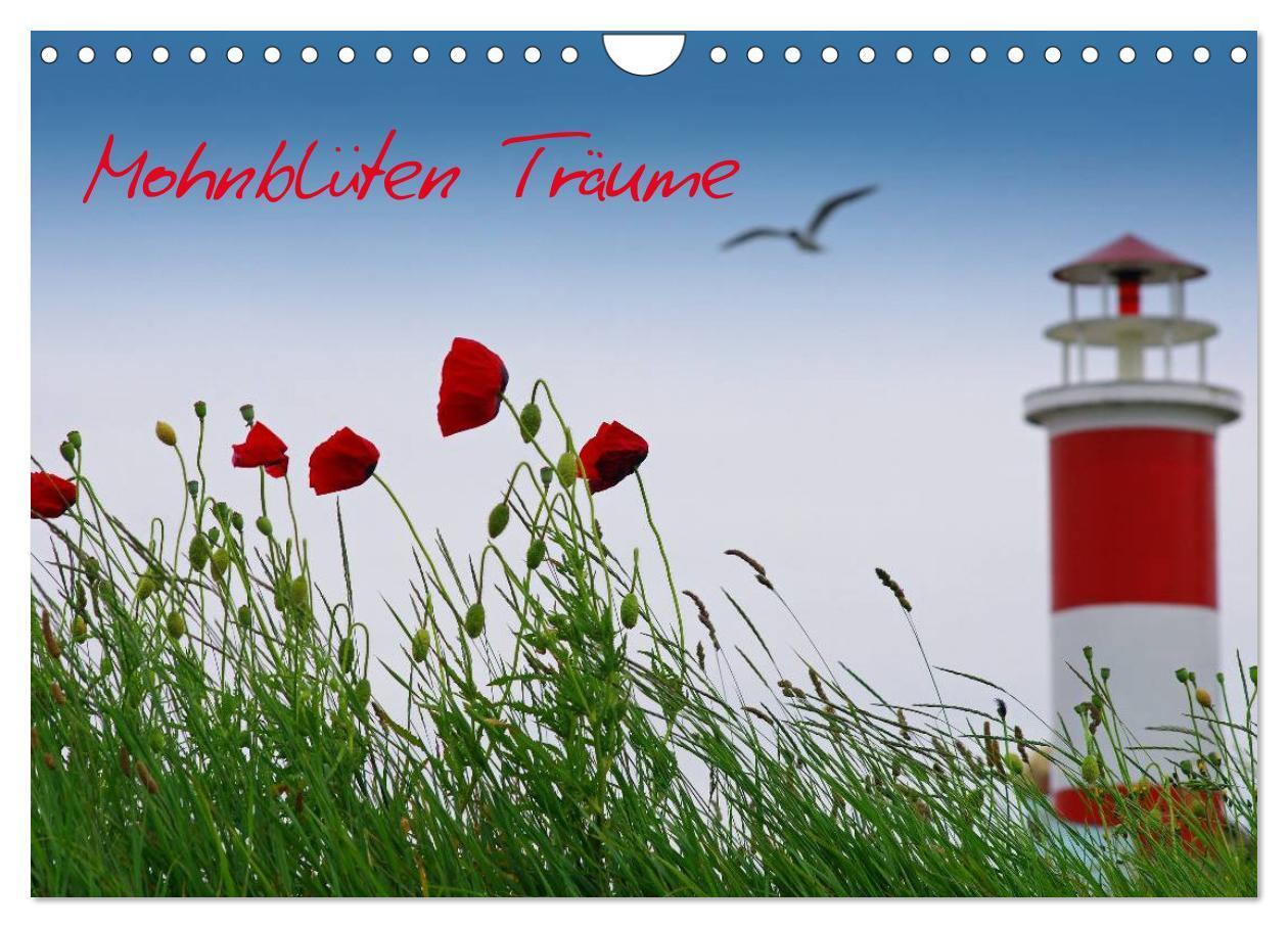 Cover: 9783435842339 | Mohnblumen Träume (Wandkalender 2025 DIN A4 quer), CALVENDO...