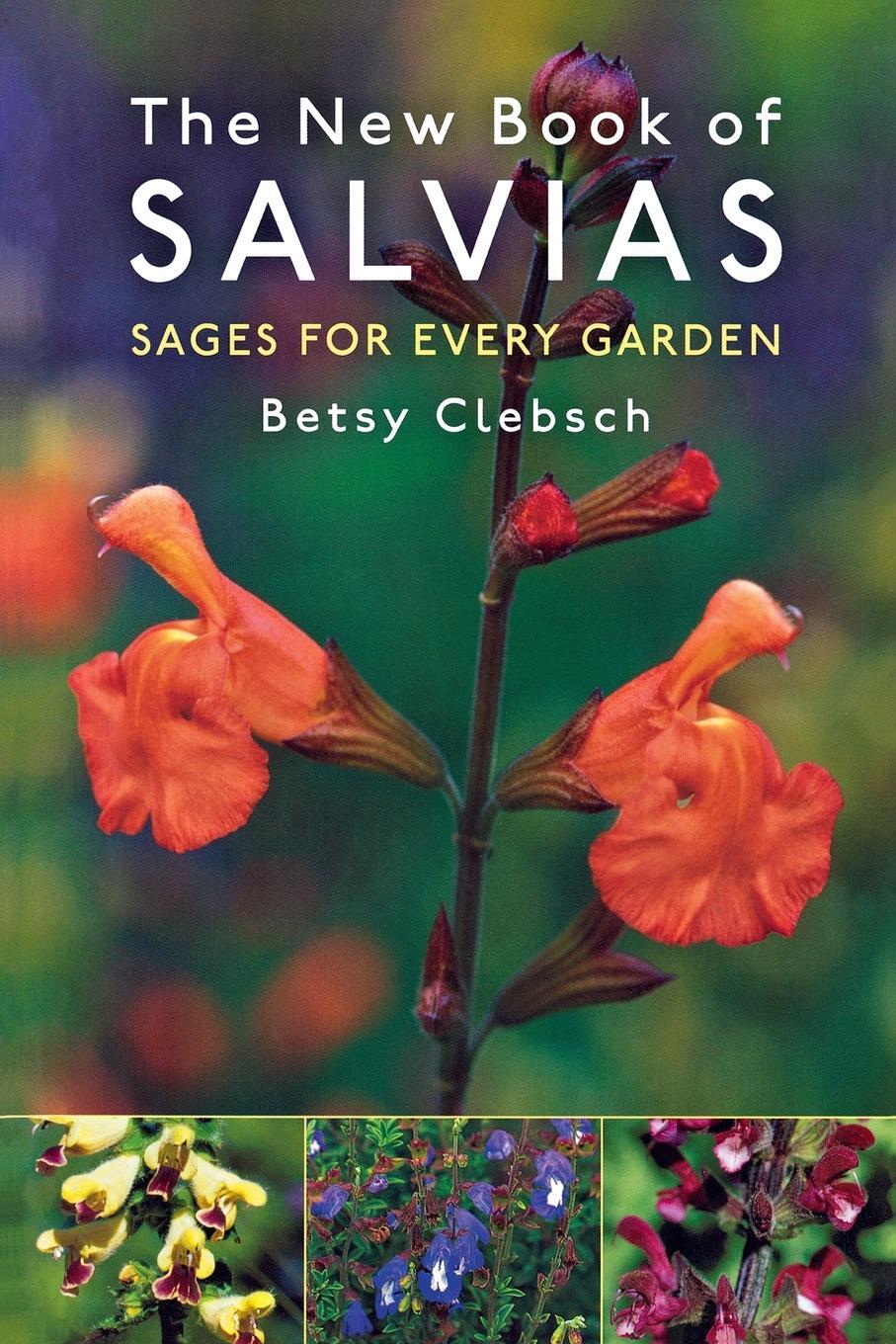 Cover: 9781604695106 | The New Book of Salvias | Sages for Every Garden | Betsy Clebsch