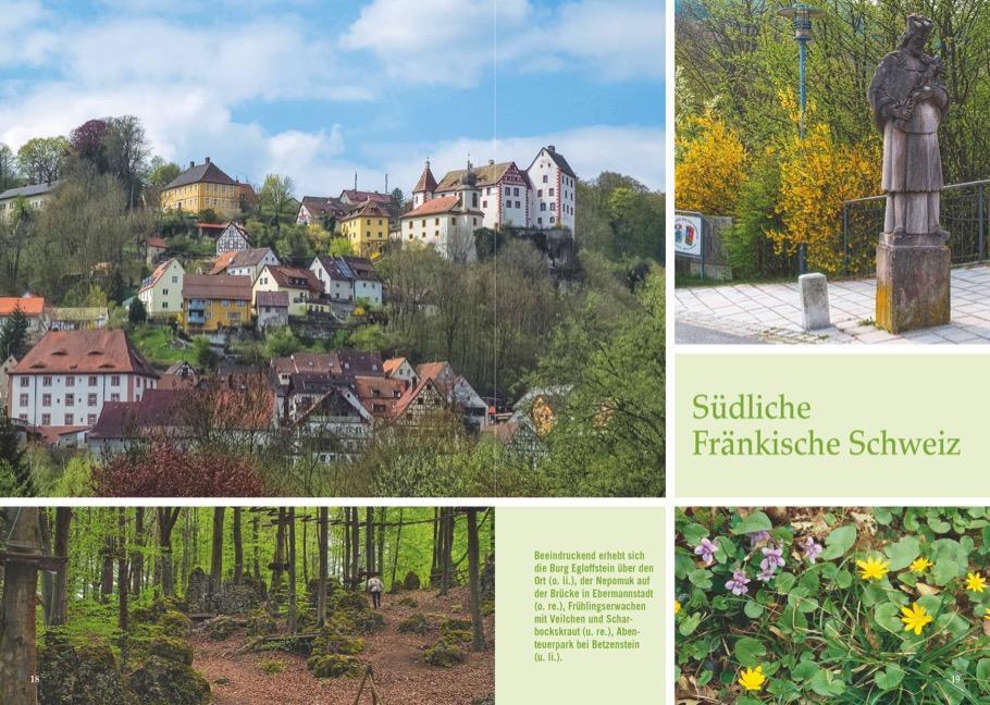 Bild: 9783734313707 | Waldpfade Nürnberg | Tassilo Wengel | Taschenbuch | Deutsch | 2020
