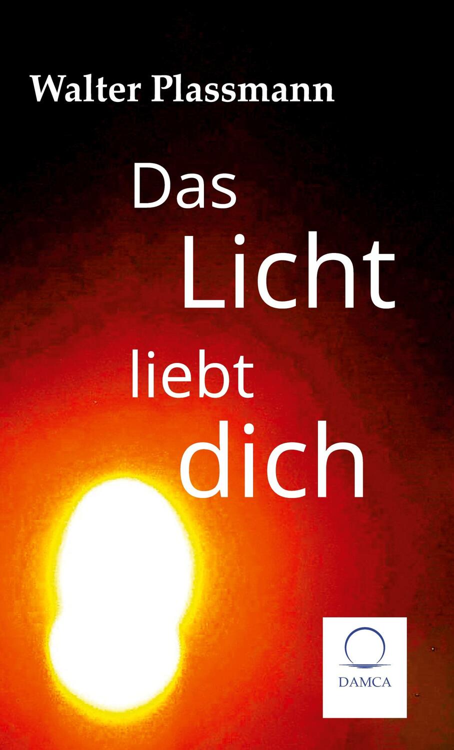 Cover: 9783910853003 | Das Licht liebt Dich | Ein Roman über Dinge des Lebens | Plassmann