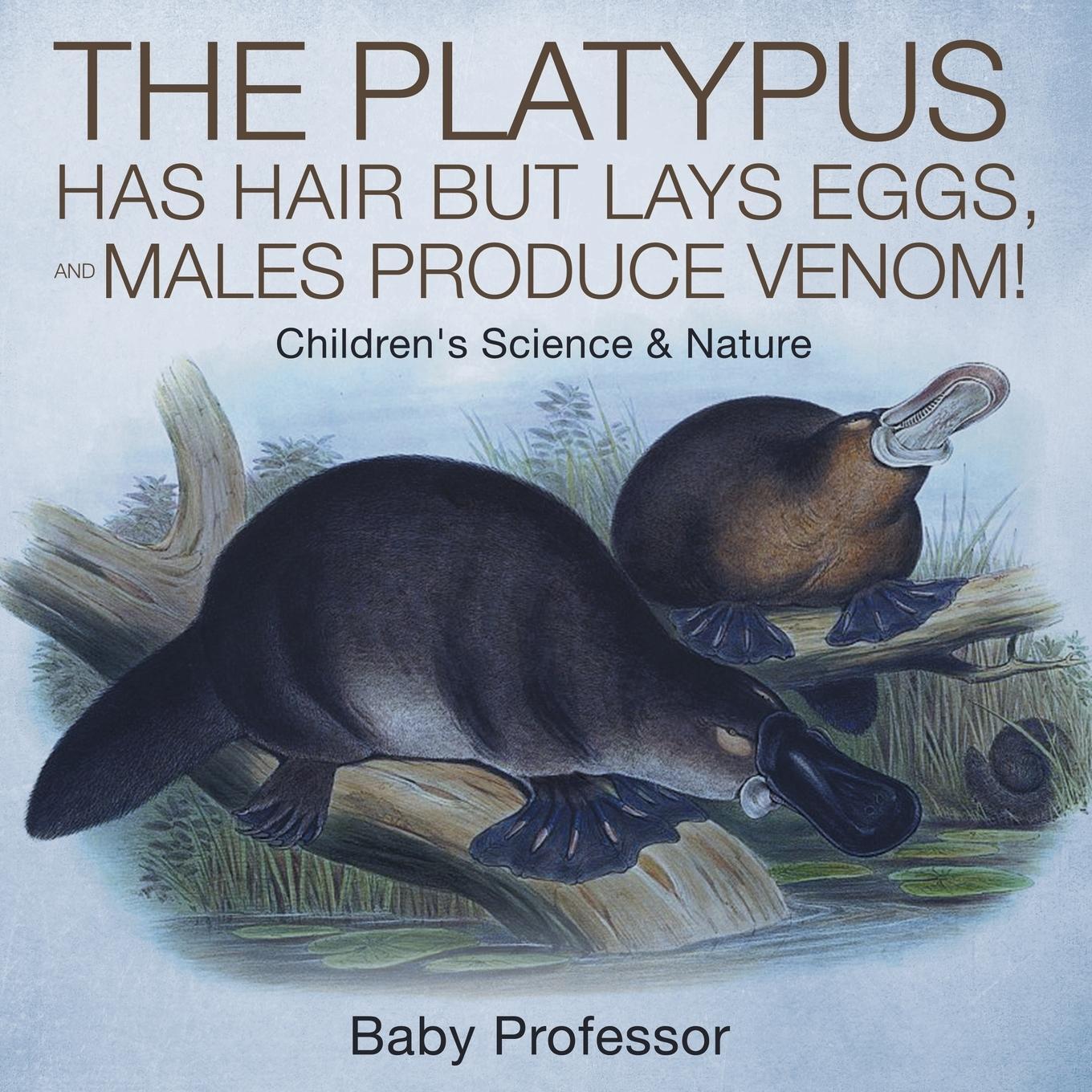 Cover: 9781541905078 | The Platypus Has Hair but Lays Eggs, and Males Produce Venom!...