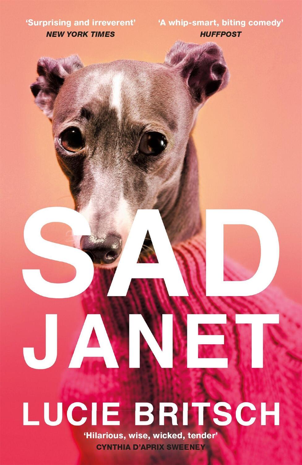 Cover: 9781409198666 | Sad Janet | 'A whip-smart, biting tragicomedy' HuffPost | Britsch