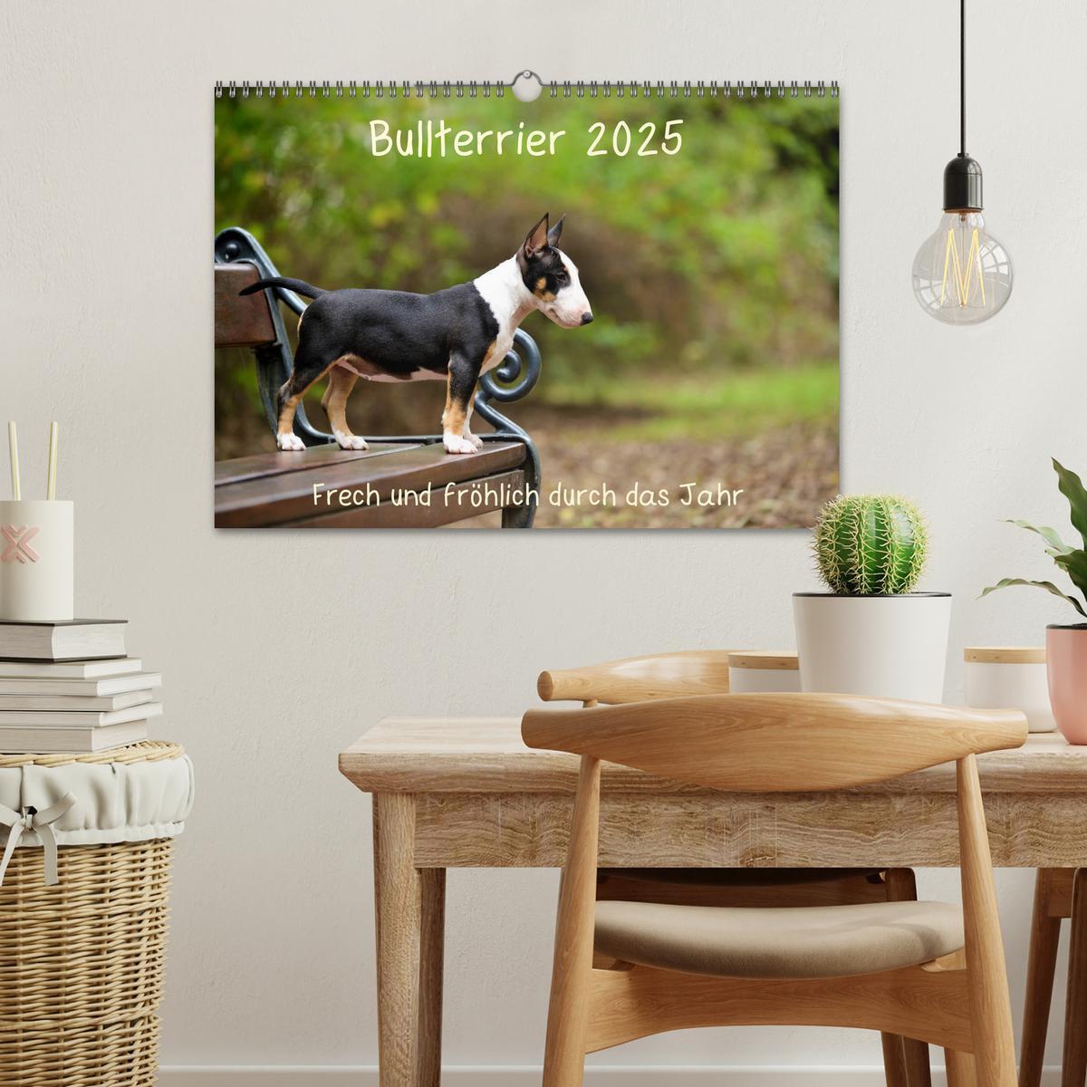 Bild: 9783435341122 | Bullterrier 2025 Frech und fröhlich durch das Jahr (Wandkalender...