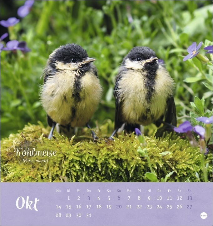 Bild: 9783756403080 | Vögel in unseren Gärten Postkartenkalender 2024. Ein kleiner...