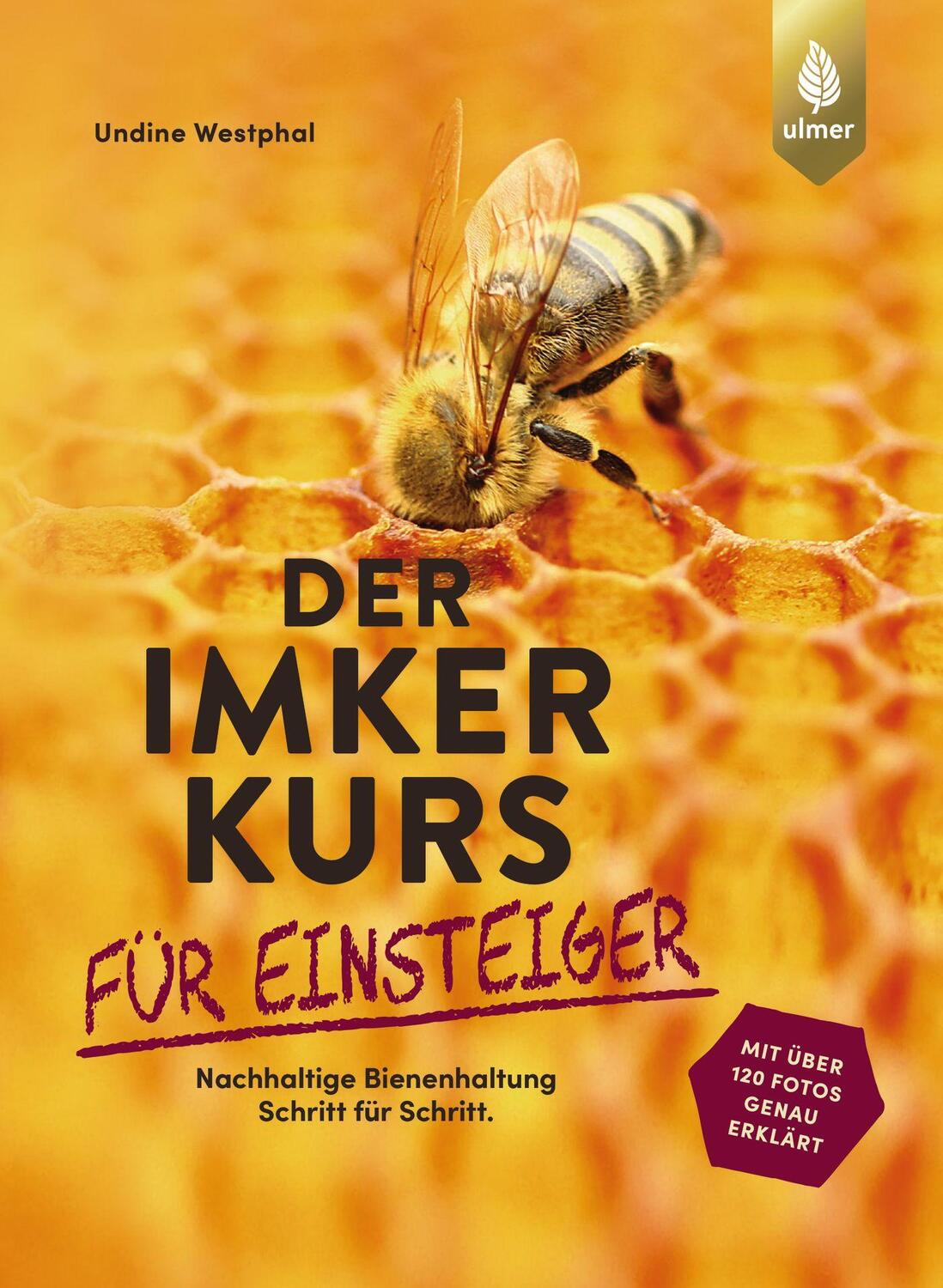 Cover: 9783818613143 | Der Imkerkurs für Einsteiger | Undine Westphal | Taschenbuch | Deutsch