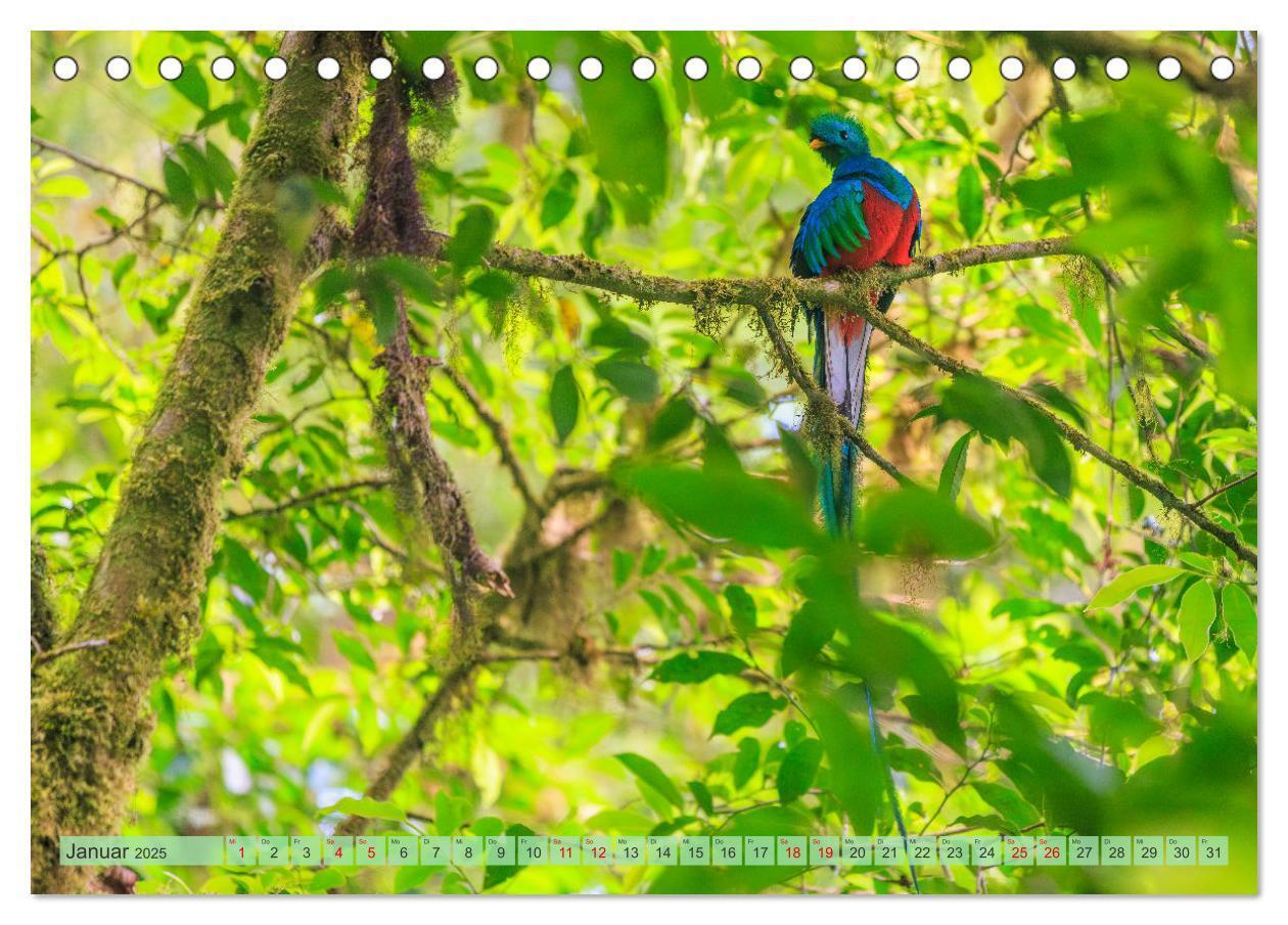 Bild: 9783457163610 | Tropenparadies zwischen Ozeanen Costa Rica (Tischkalender 2025 DIN...