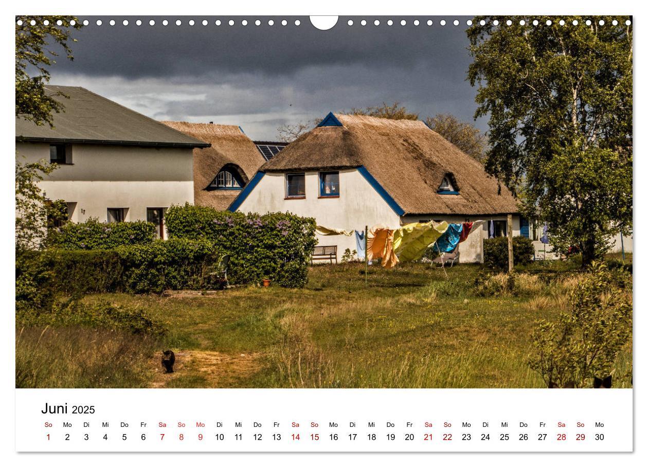 Bild: 9783435444748 | Ein Tag auf der Insel Hiddensee (Wandkalender 2025 DIN A3 quer),...