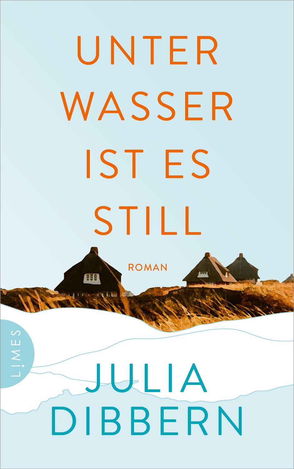 Cover: 9783809027775 | Unter Wasser ist es still | Roman | Julia Dibbern | Buch | 384 S.
