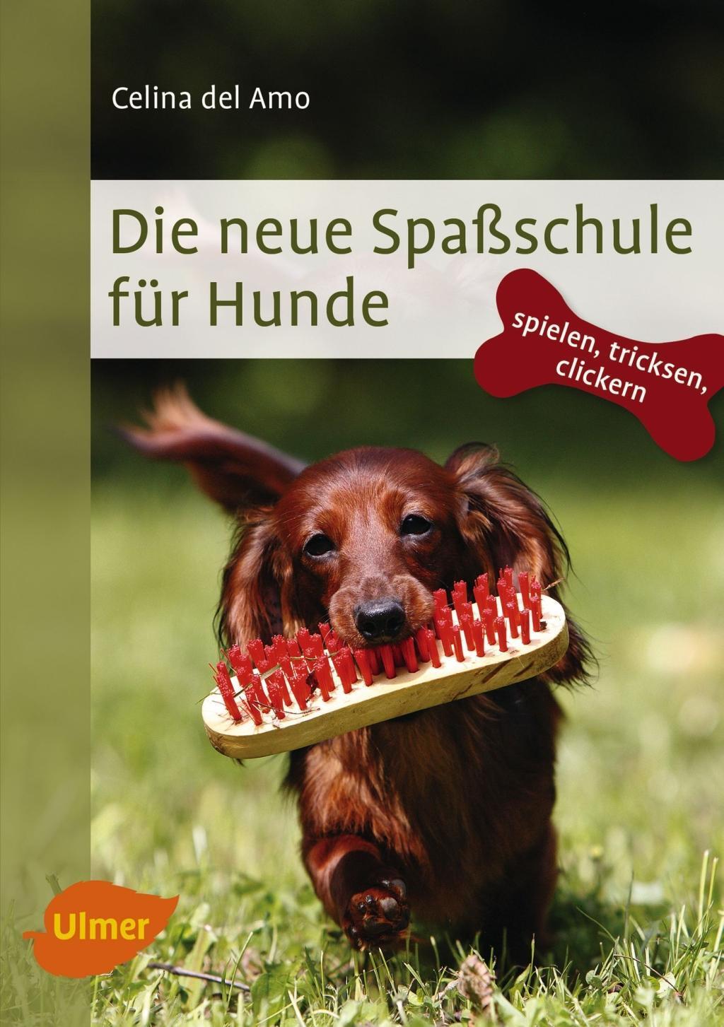 Cover: 9783800103812 | Die neue Spaßschule für Hunde | Spielen, tricksen, clickern | DelAmo