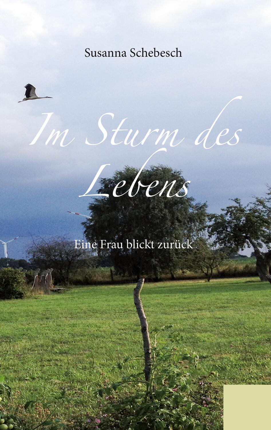 Cover: 9783746015293 | Im Sturm des Lebens | Eine Frau blickt zurück | Susanna Schebesch
