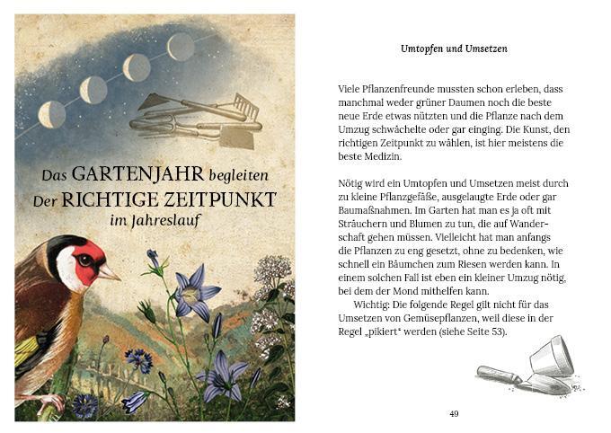 Bild: 9783710403620 | Gärtnern mit der Kraft des Mondes | Johanna Paungger (u. a.) | Buch