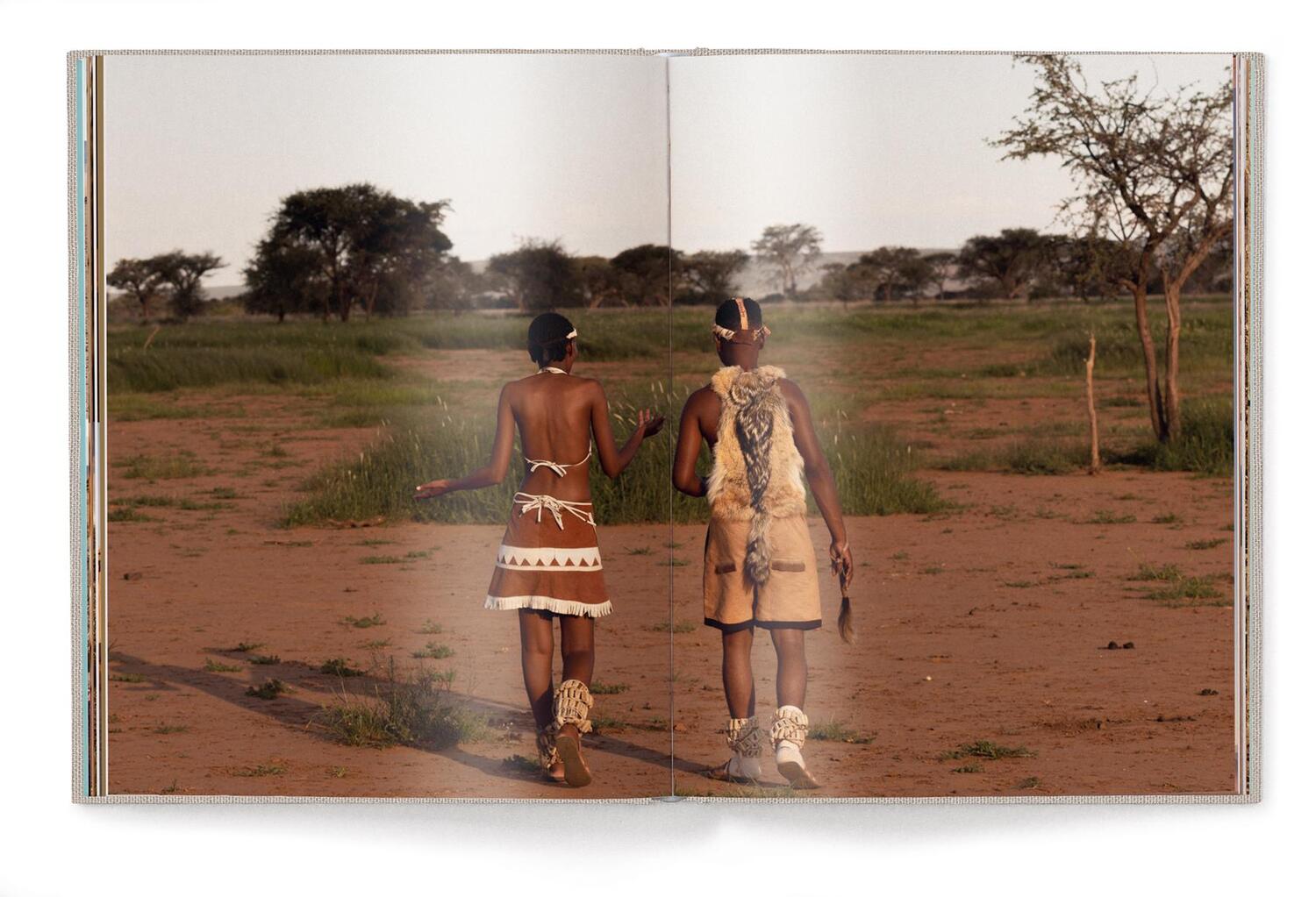 Bild: 9783961714414 | Green Namibia | Patricia Parinejad | Buch | Deutsch | 2023
