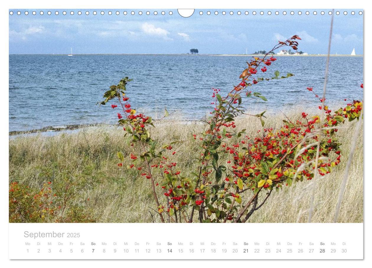 Bild: 9783435629251 | Zauberhafte Schlei (Wandkalender 2025 DIN A3 quer), CALVENDO...