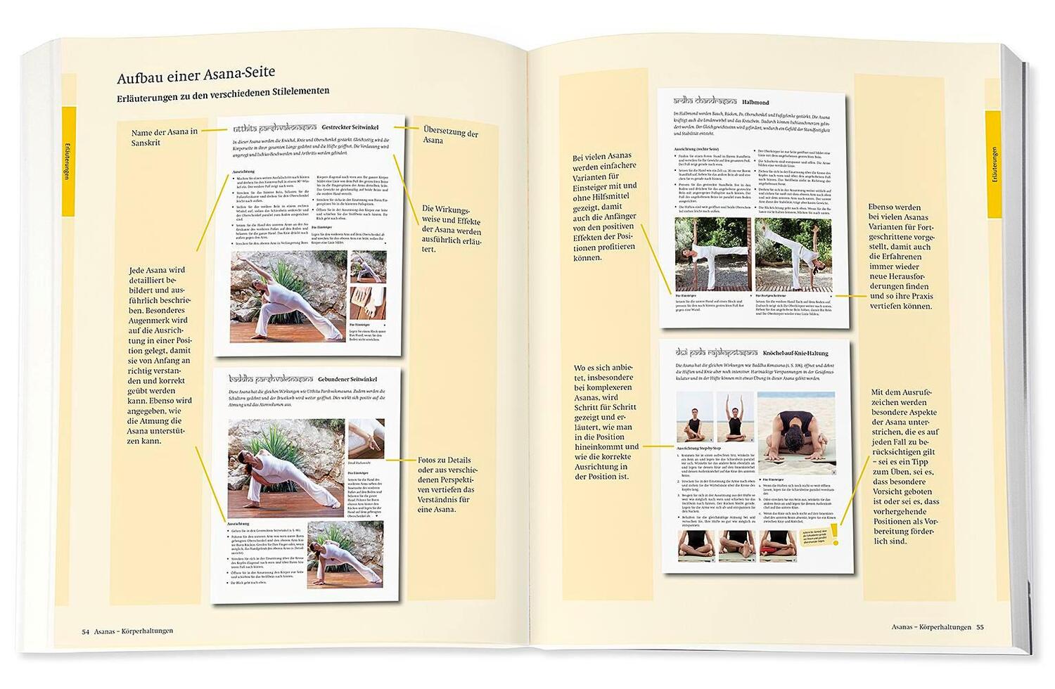 Bild: 9783426675885 | Yoga - Das große Praxisbuch für Einsteiger &amp; Fortgeschrittene | Schöps