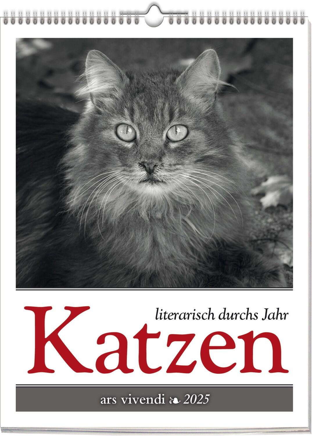 Cover: 9783747205655 | Katzen - Literarisch durchs Jahr 2025 | Wochenkalender | Vivendi Ars