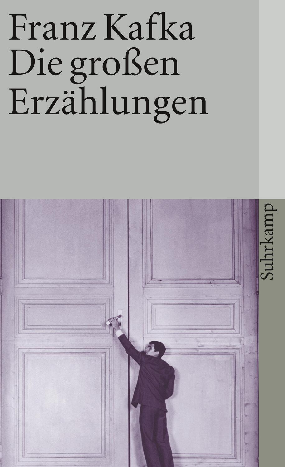 Cover: 9783518456224 | Die großen Erzählungen | Franz Kafka | Taschenbuch | Deutsch | 2013