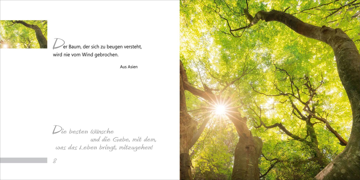 Bild: 9783734613326 | Glück-Wunsch zum 90. | Gedanken | Gabriele Hartl | Broschüre | 24 S.